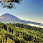 Teide