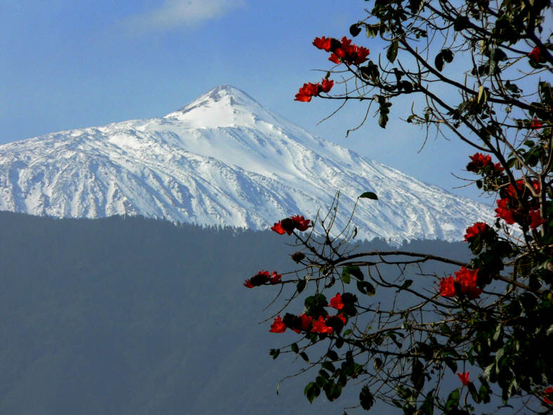 Teide