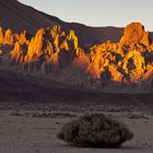 Teide 6