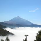 Teide