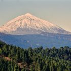 Teide