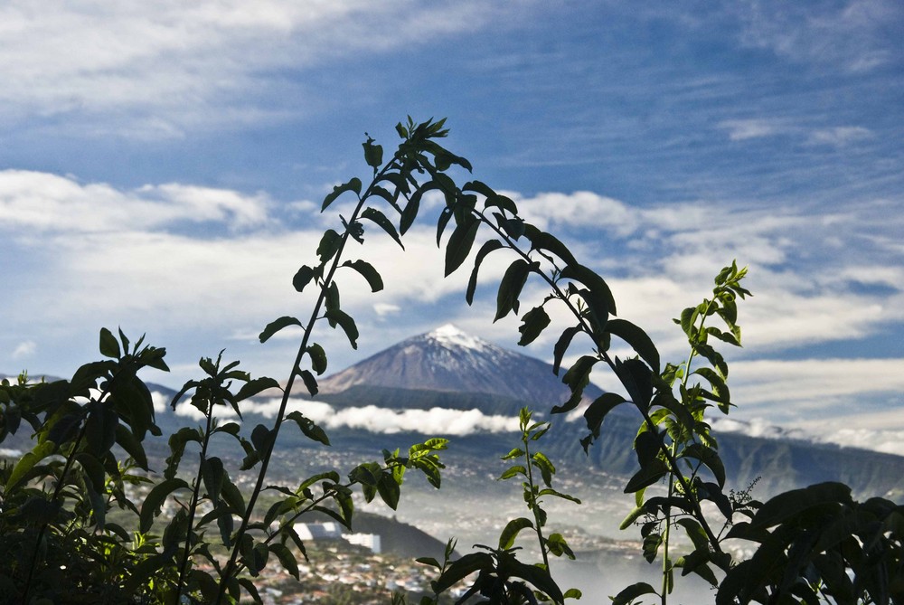 teide