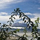 teide