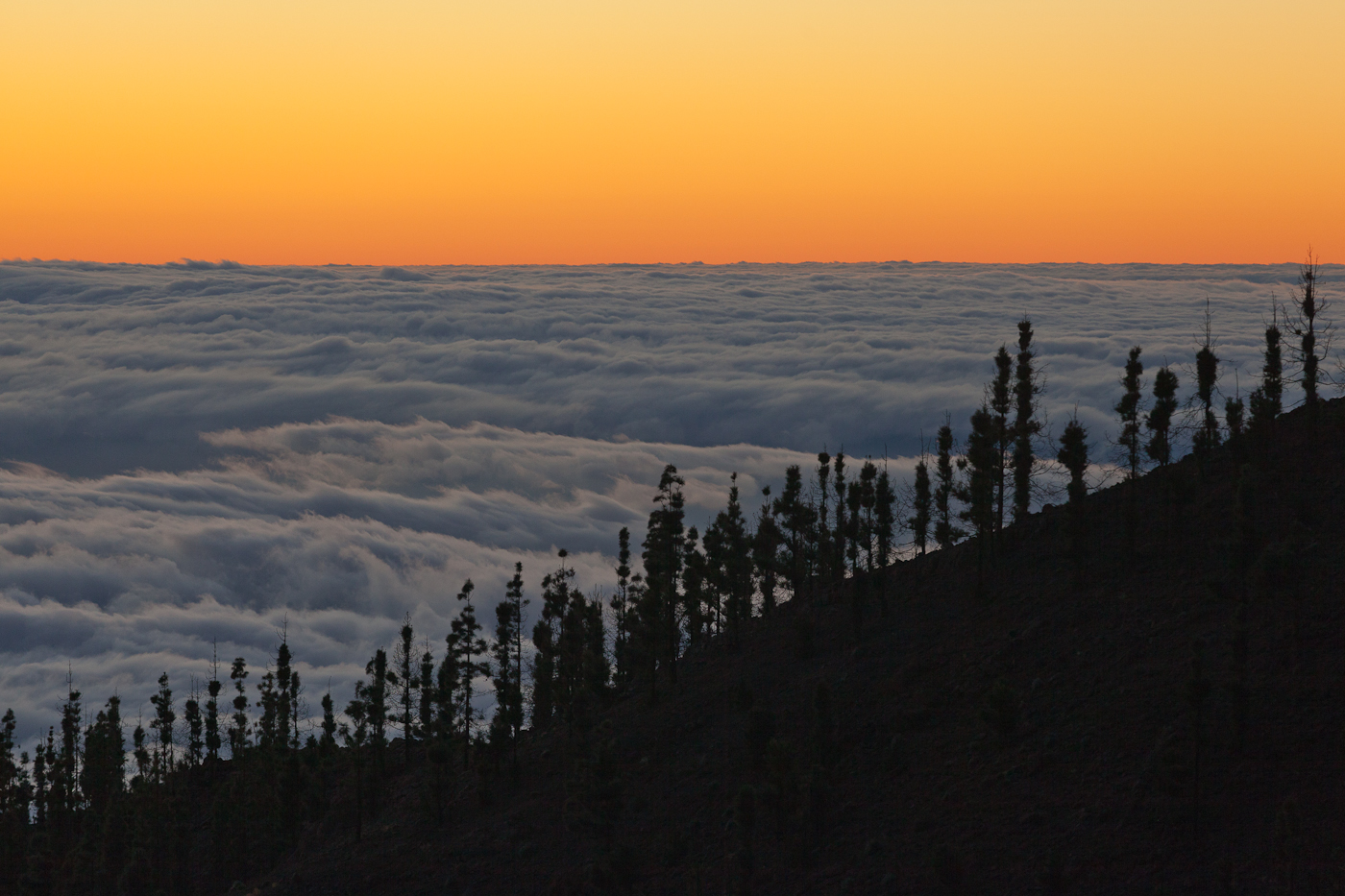 Teide 7