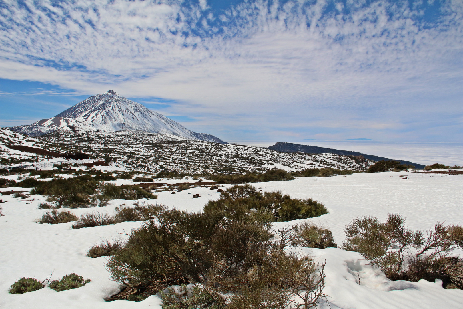 Teide 