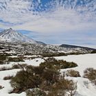 Teide 