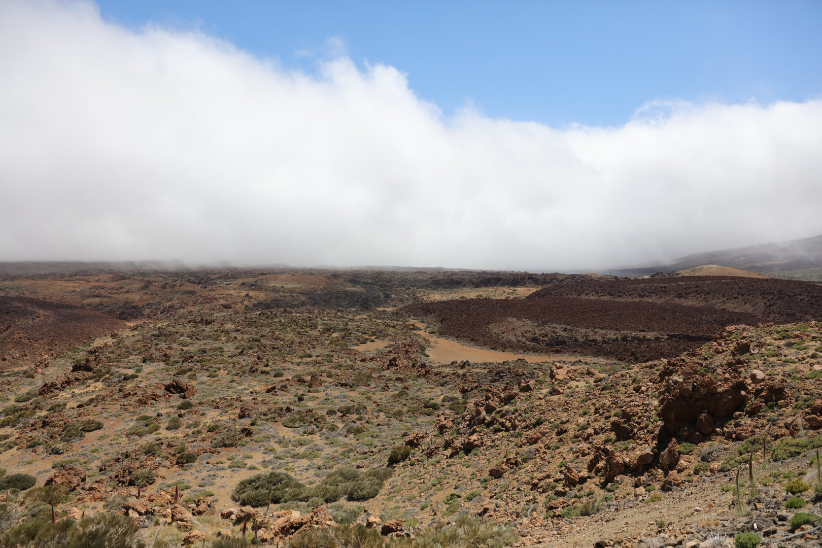 Teide