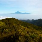 Teide