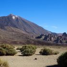 Teide