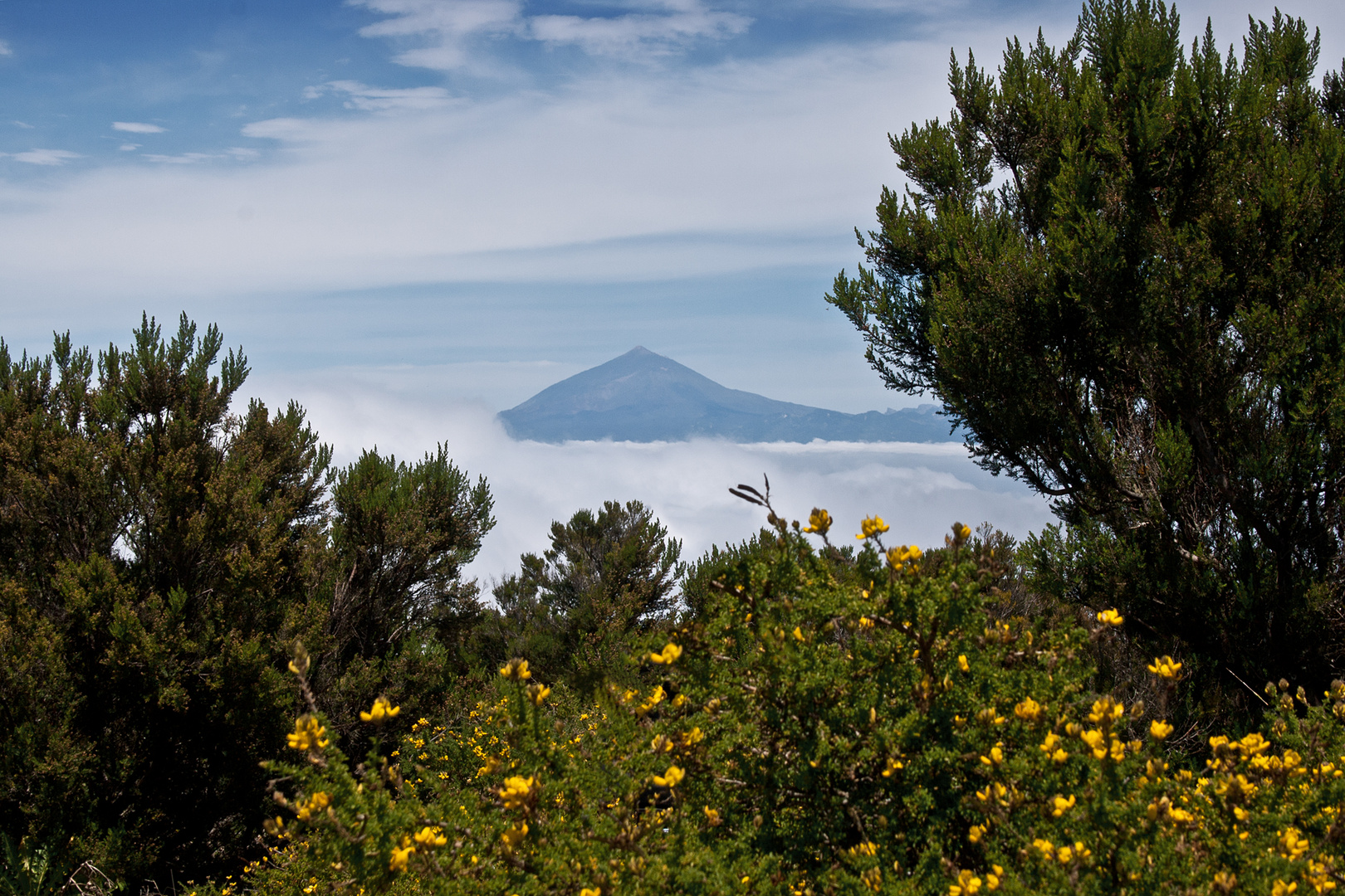 ^^ Teide ^^