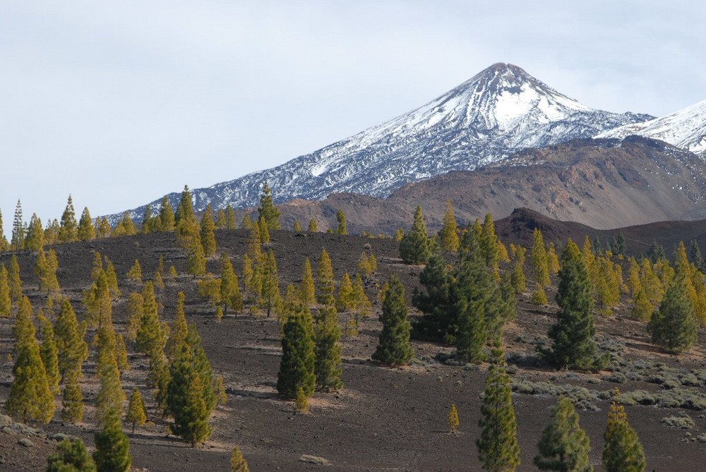 Teide