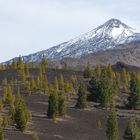 Teide