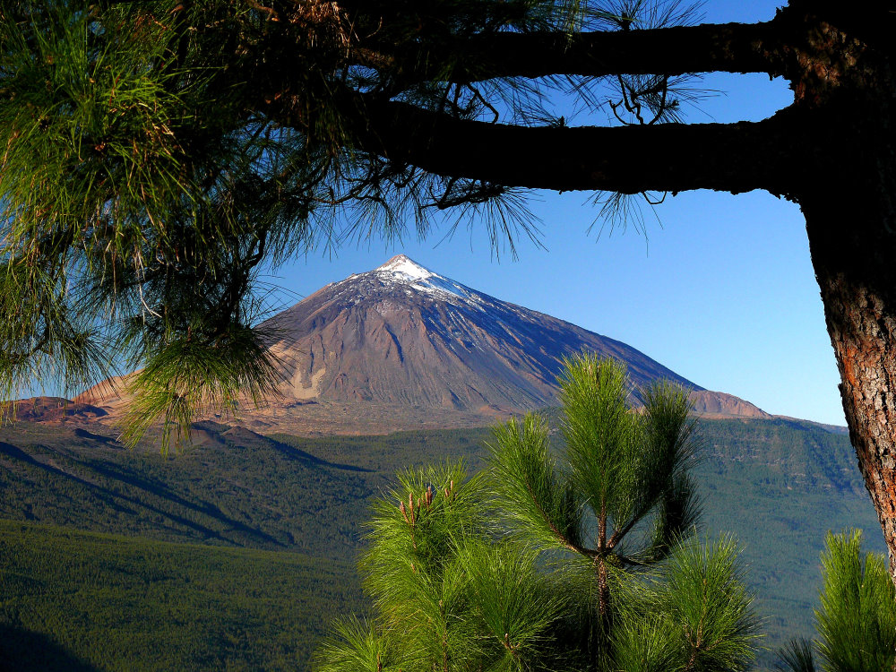 Teide