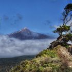 Teide