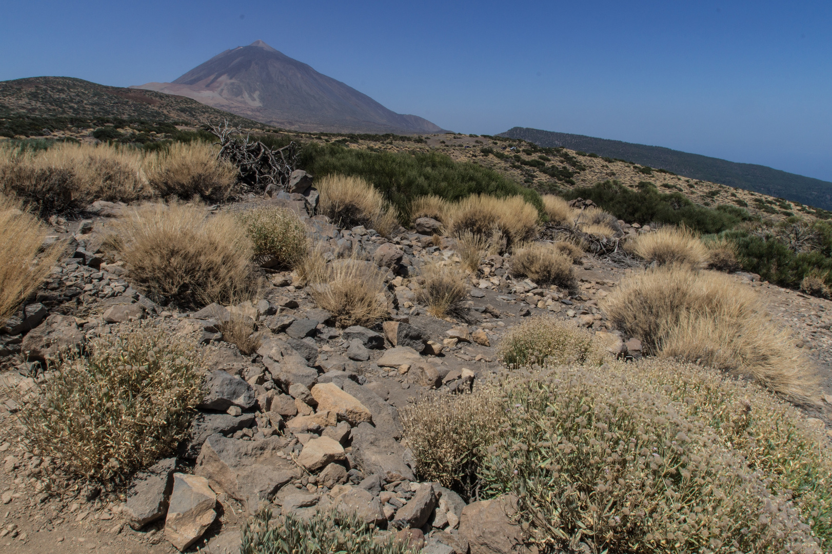 Teide