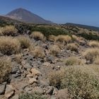 Teide