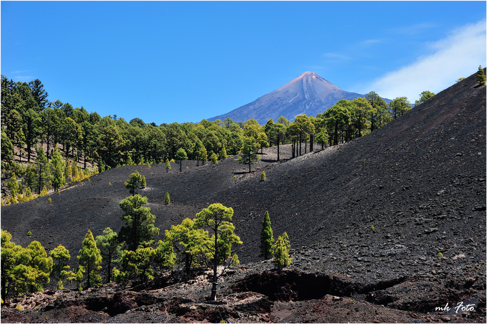 Teide