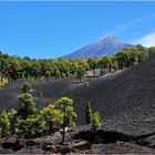 Teide