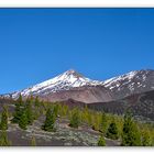 Teide am Nachmittag