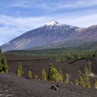 Teide