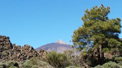 Teide