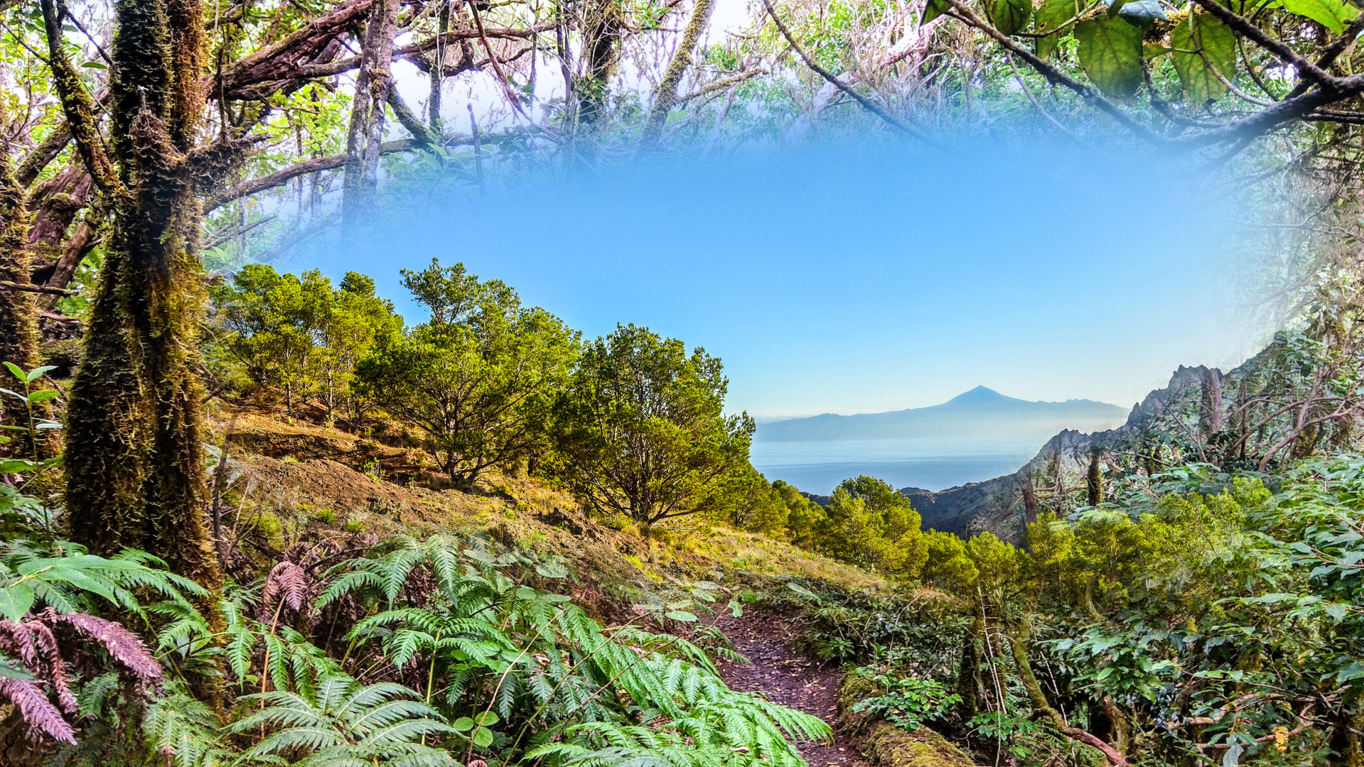 Teide Blick - nah und fern