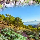 Teide Blick - nah und fern