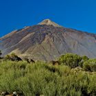 Teide