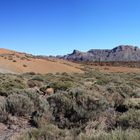 Teide Caldera