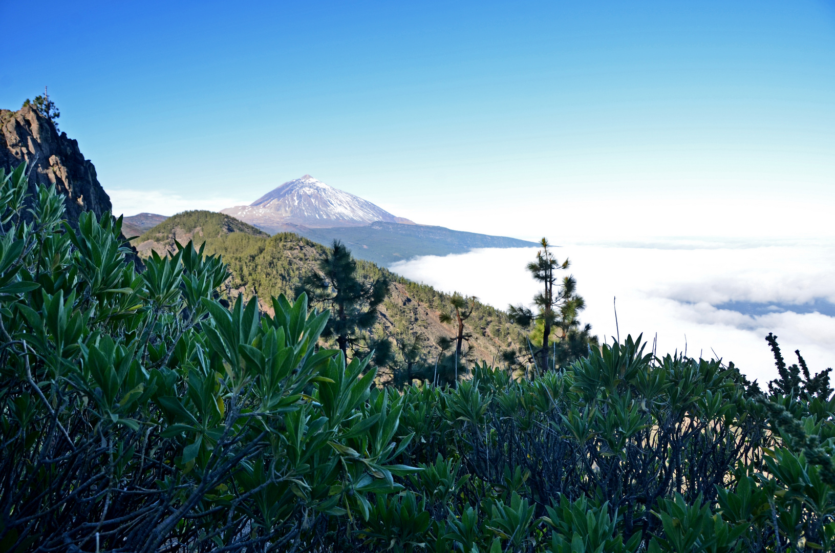 Teide