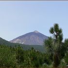 Teide