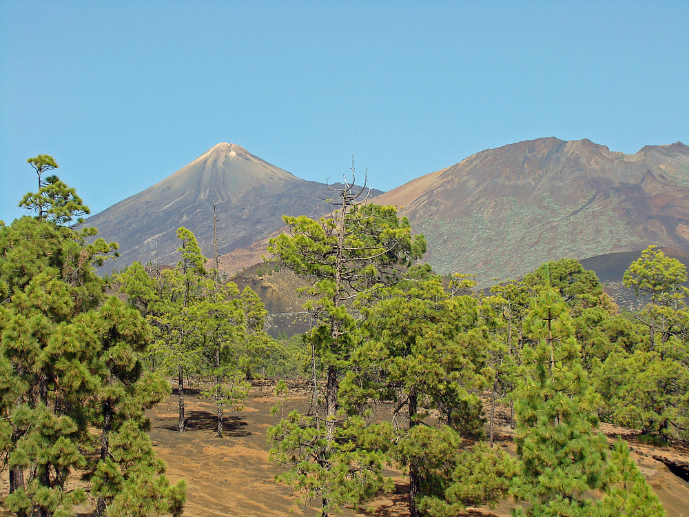 Teide