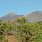 Teide