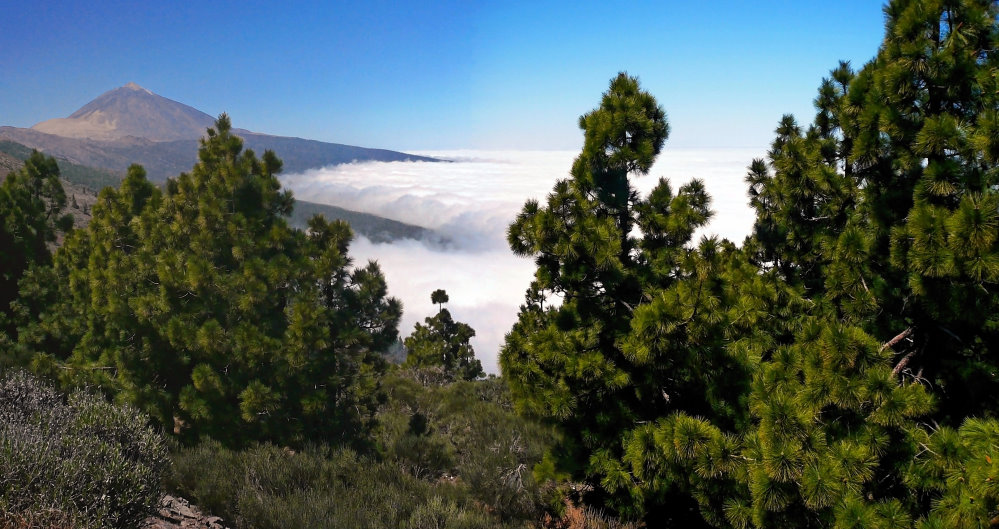 Teide