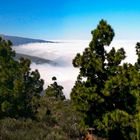 Teide