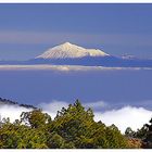 Teide ... die 2.