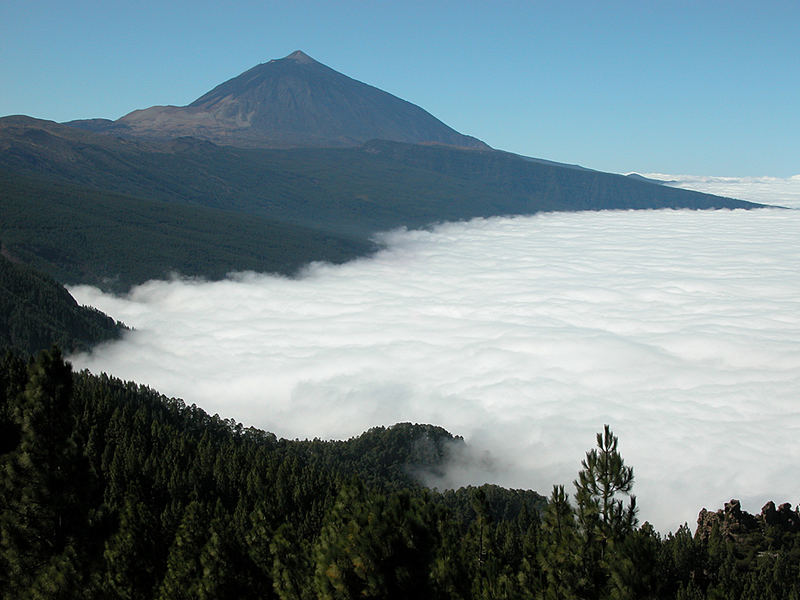 Teide