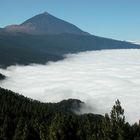 Teide