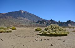 Teide