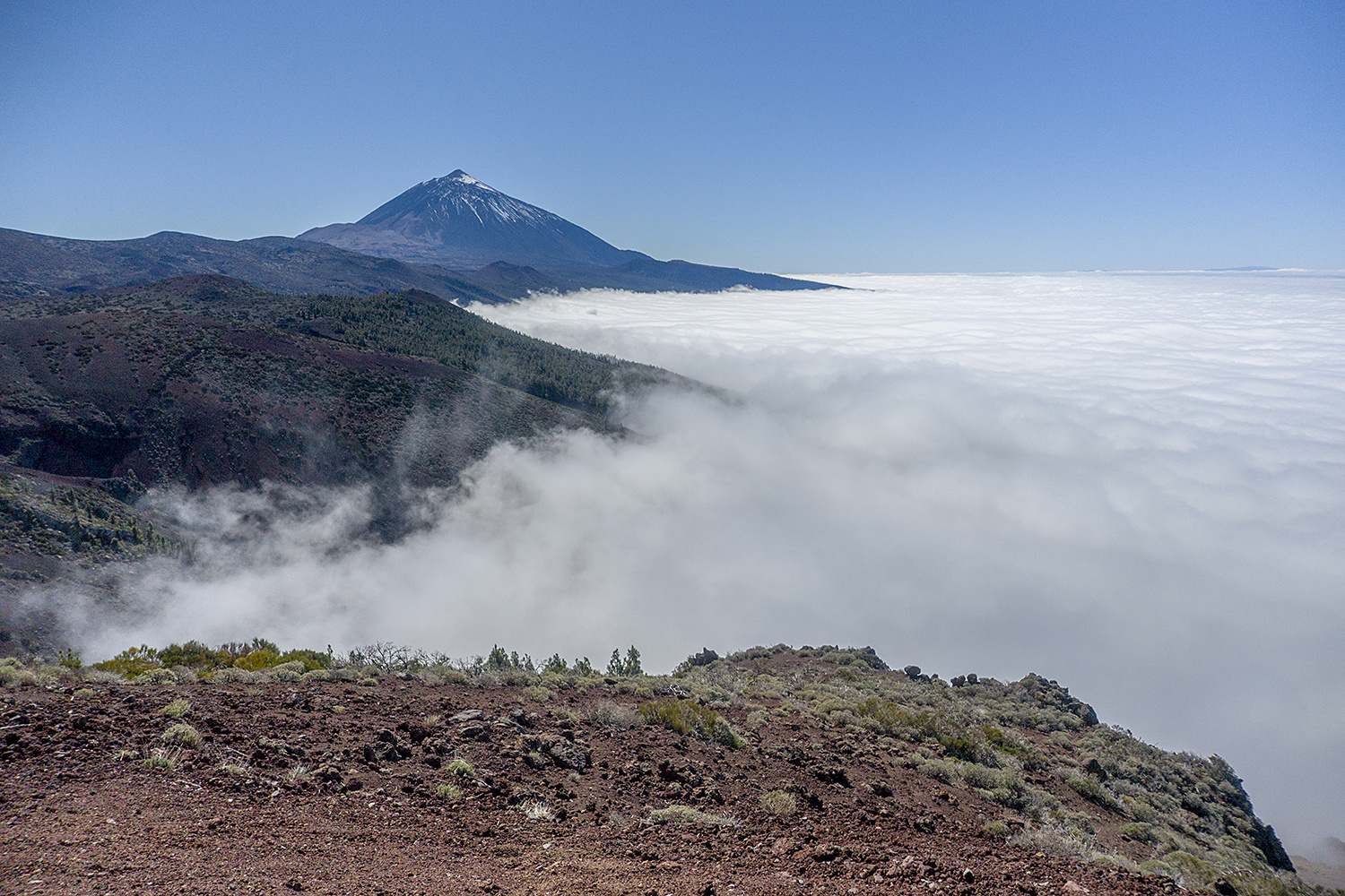   Teide