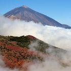 Teide