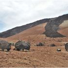 Teide-Eier