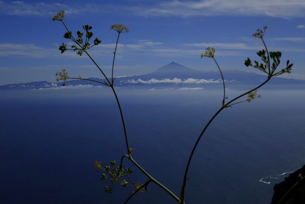 Teide