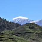 Teide 