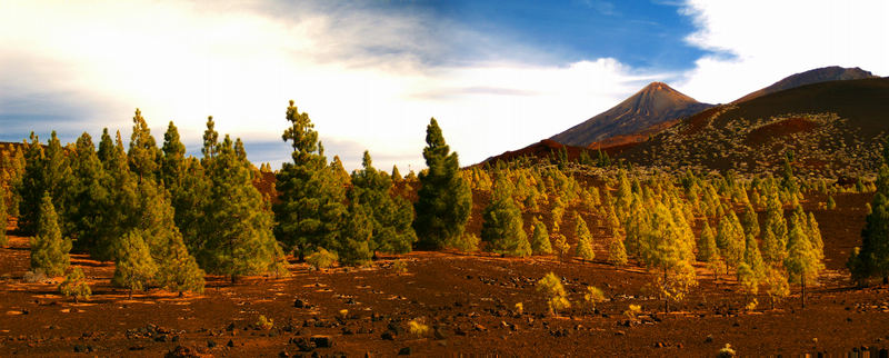 teide