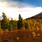 teide