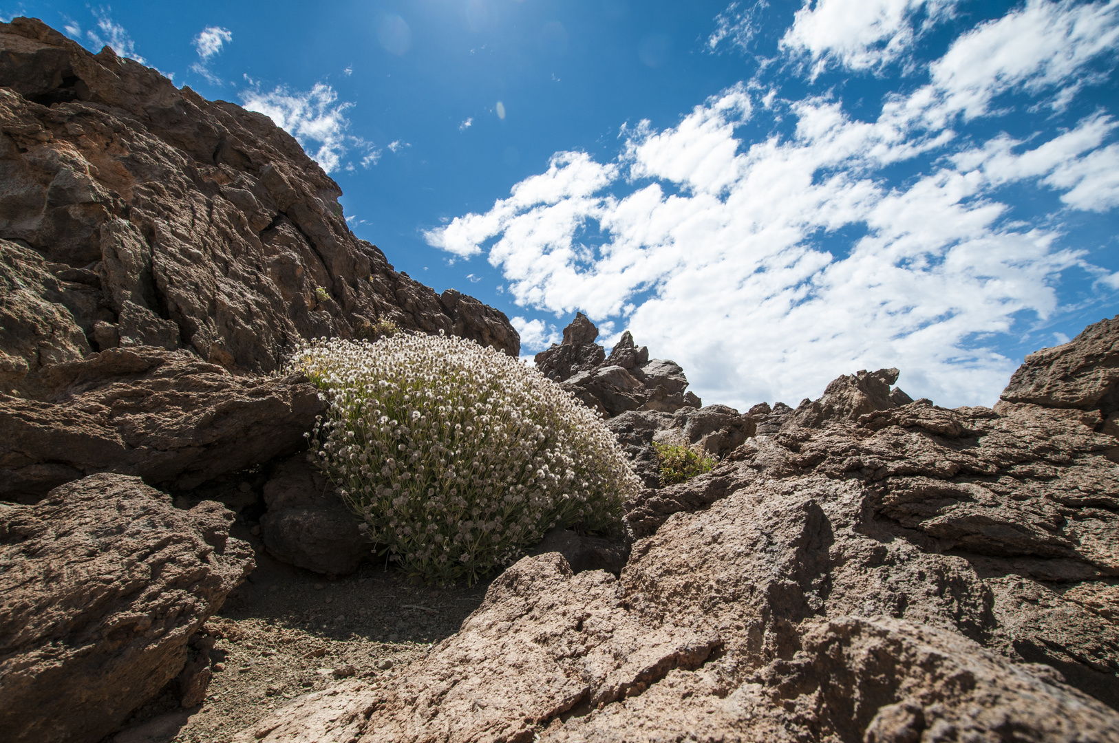 Teide Hochebene