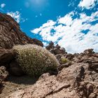 Teide Hochebene