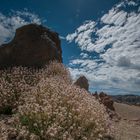 Teide Hochebene