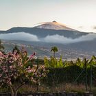 Teide im Abendlicht